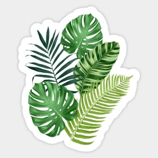 Tropical leaves Sticker